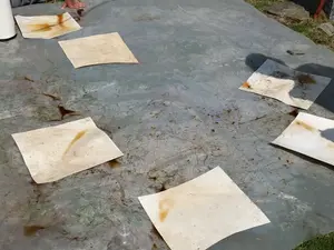 Einfärben der Malgründe Einfärben der Malgründe