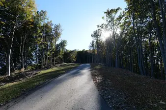 Wir laufen noch ein wenig in Richtung Pizzo Leone, es ist so ein wunderbares Abendlicht im Wald Wir laufen noch ein wenig in Richtung Pizzo Leone, es ist so ein wunderbares Abendlicht im Wald