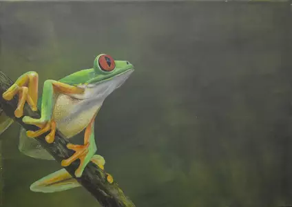 Frosch, Acryl