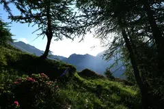 Der Weg zurück zur Hütte Der Weg zurück zur Hütte