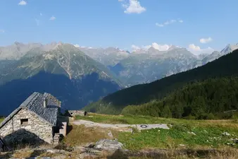 Piatto