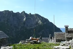 Der neue Brunnen kommt an