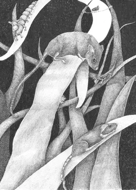 Begegnungen Begegnungen