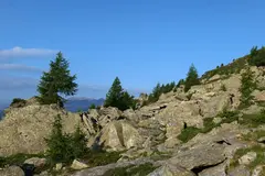 Ein kleiner Morgenspaziergang Ein kleiner Morgenspaziergang