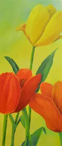 Tulipani 70 x 30 cm