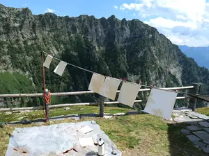 Die gefärbten Blätter trocknen Die gefärbten Blätter trocknen