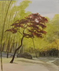 Impressioni giapponesi 60 x 50 cm